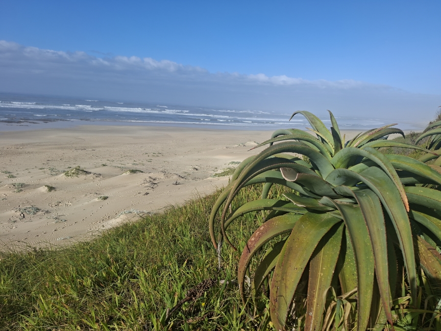4 Bedroom Property for Sale in Paradise Beach Eastern Cape